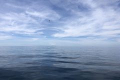 IMG_2483-scaled