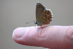 While filling, Nico enjoyed the company of a little butterfly that couldn't leave him alone